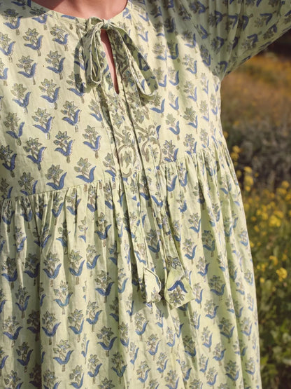 Aarohi Dress