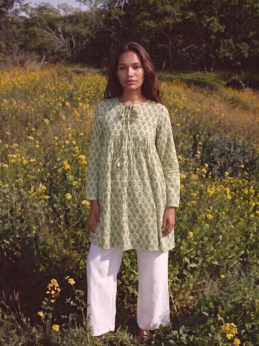 Aarohi Dress