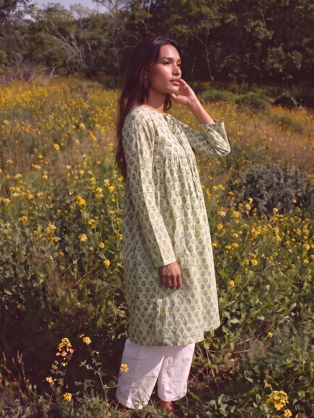Aarohi Dress